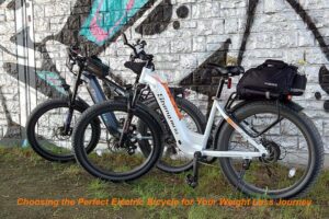 Read more about the article Choosing the Perfect Electric Bicycle for Your Weight Loss Journey