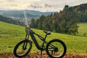 Read more about the article Unleash Your Adventure: Explore Easy and Wild Riding with Throttle and Pedal Assist Modes