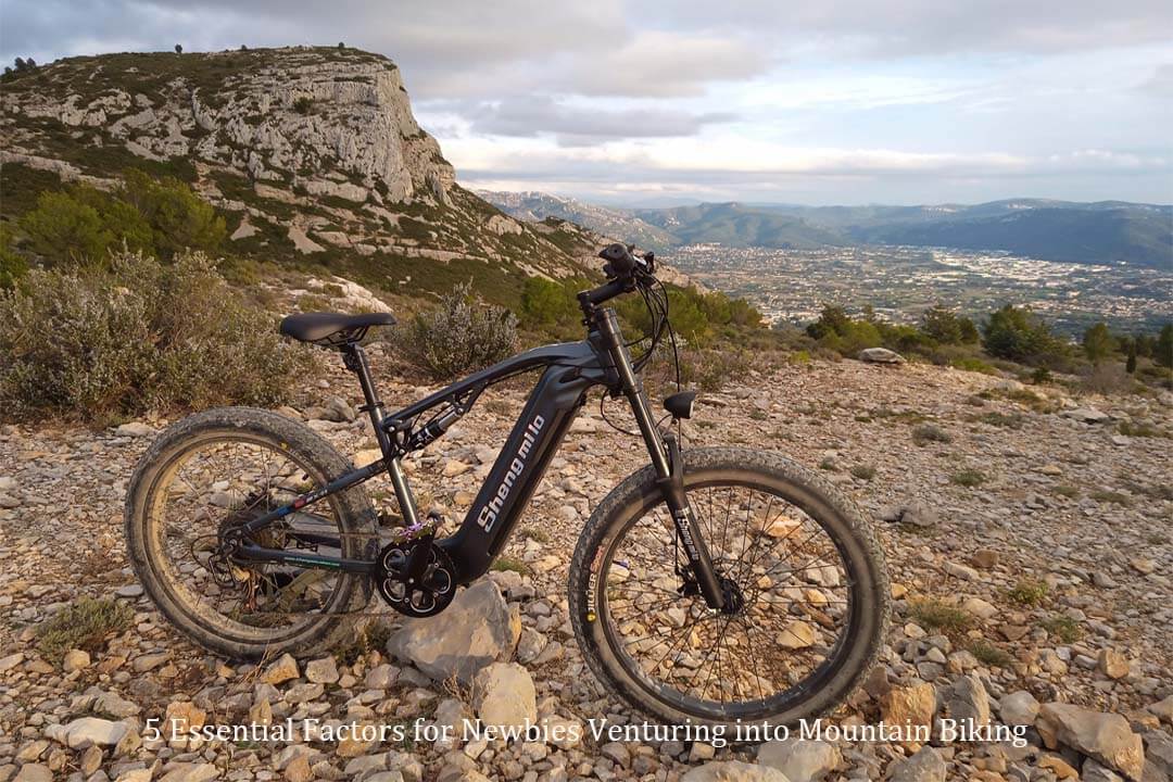 You are currently viewing 5 Essential Factors for Newbies Venturing into Mountain Biking